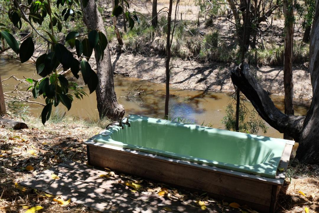Photo of Others in Chinchilla