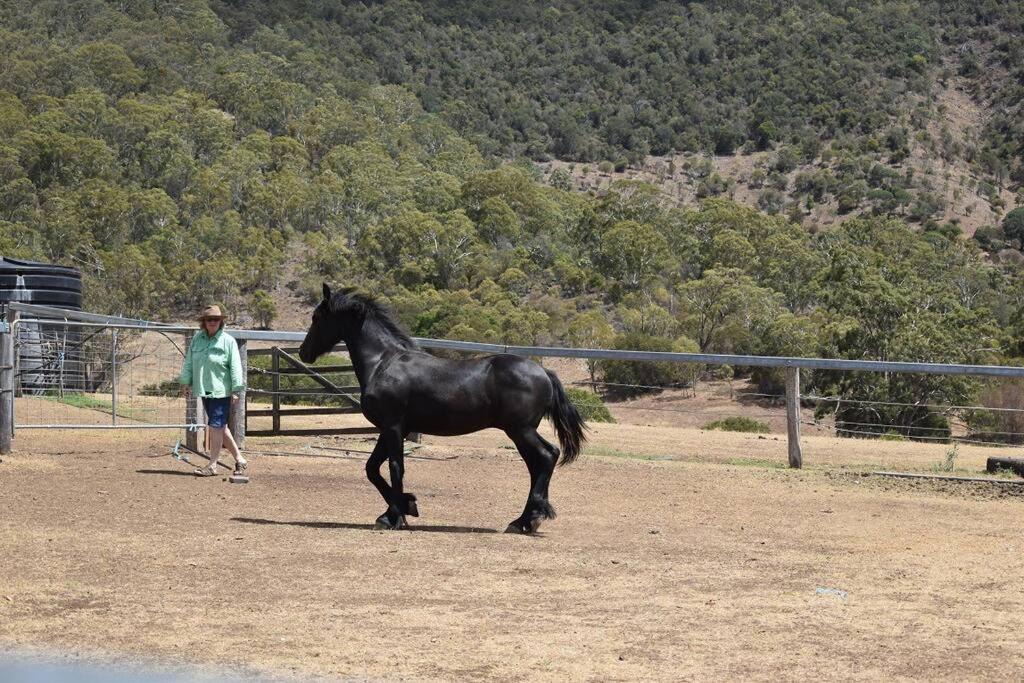 Photo of Others in Upper Freestone