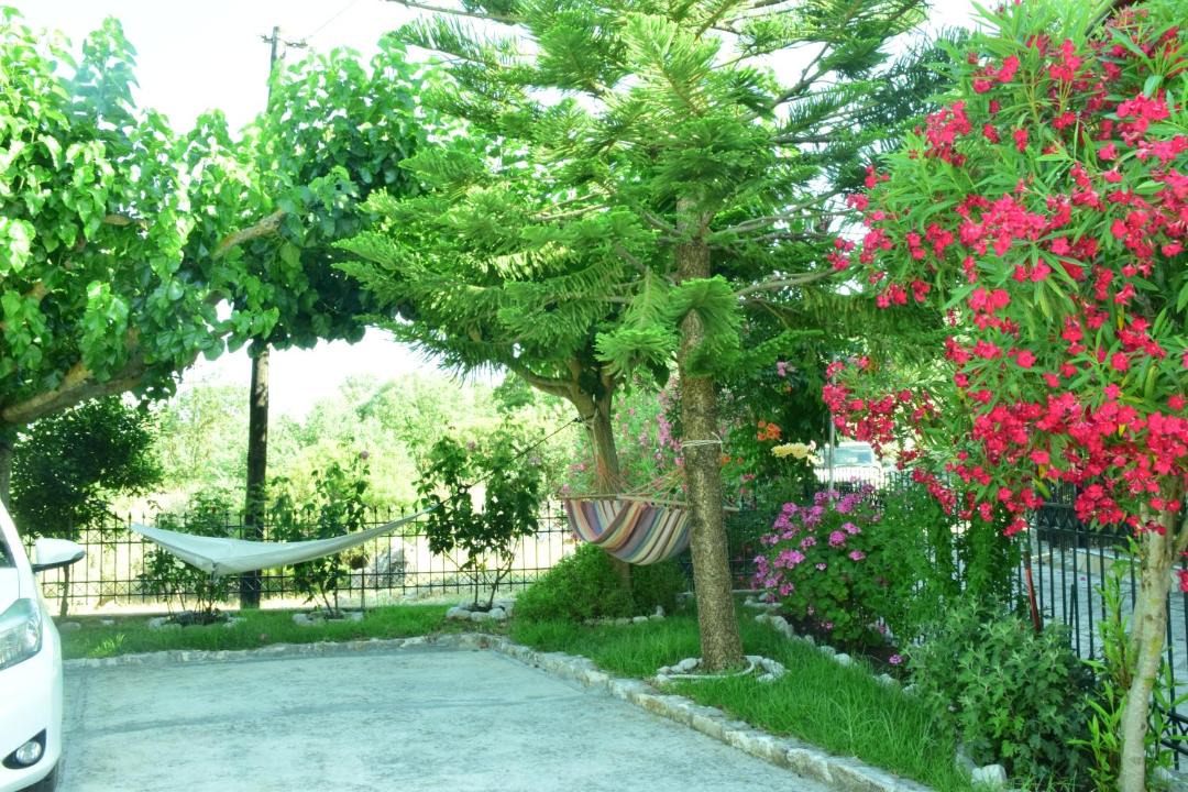 Photo of Others in Spartochori