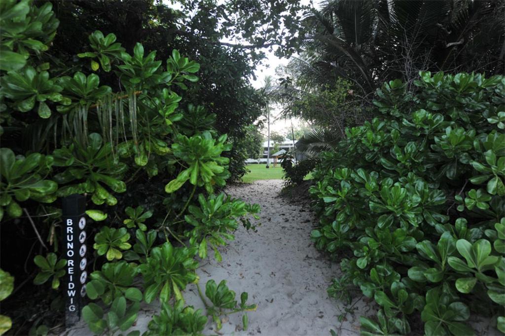 Photo of Others in Port Douglas