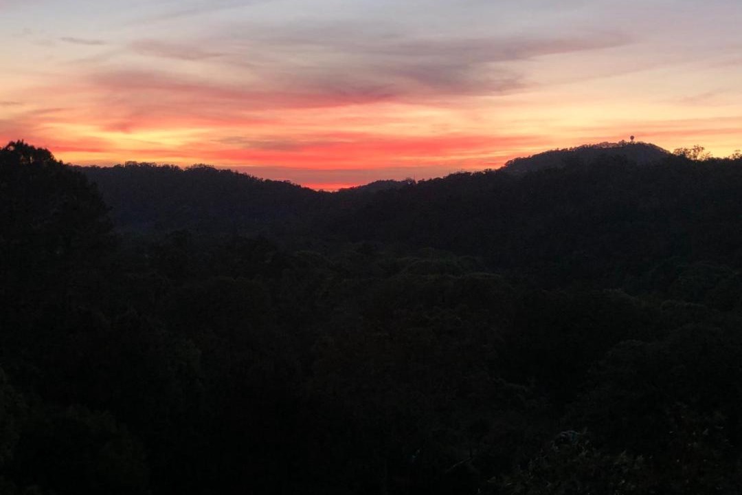 Photo of Others in Currumbin Valley