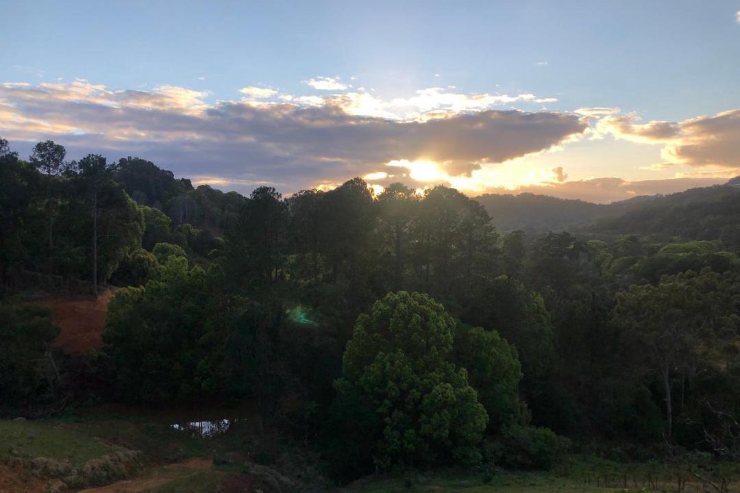 Photo of Others in Currumbin Valley