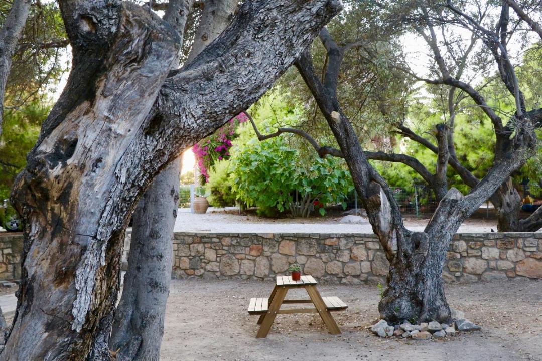 Photo of Others in Aegina Town