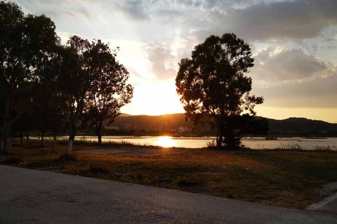 Photo of Others in Lygia