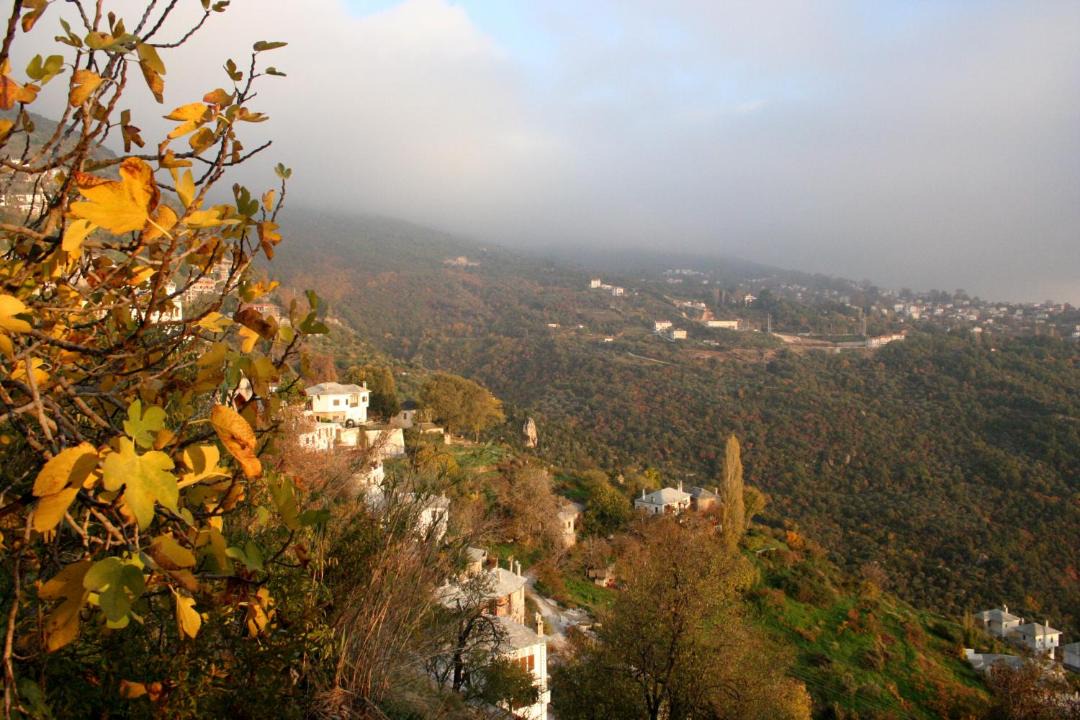Photo of Outdoor in Makrynitsa