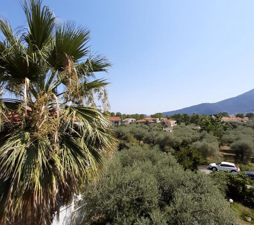Photo of Outdoor in Golden Beach