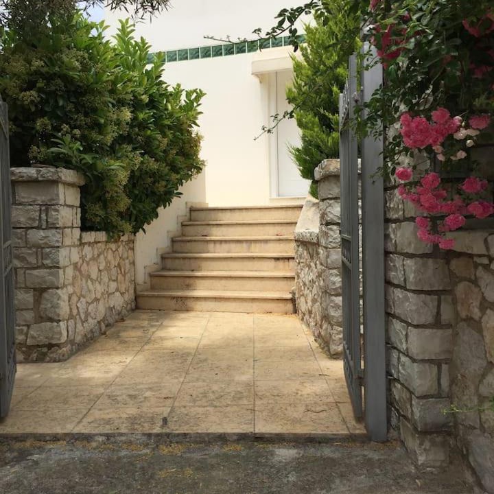 Photo of Others in Chalcis