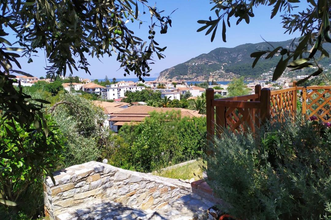 Photo of Others in Skopelos