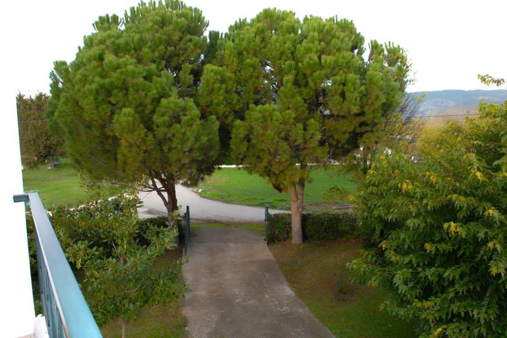 Photo of Others in Zilefti