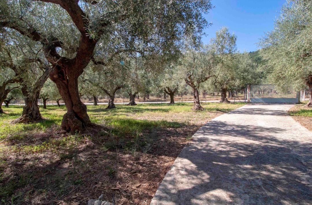 Photo of Outdoor in Tripi