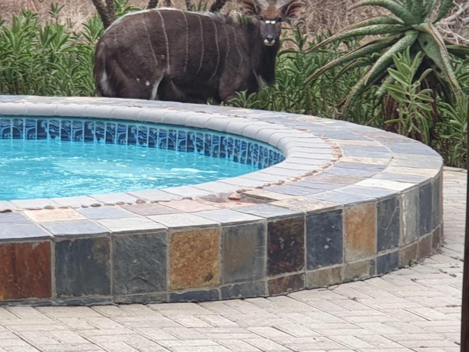 Photo of Others in Pongola