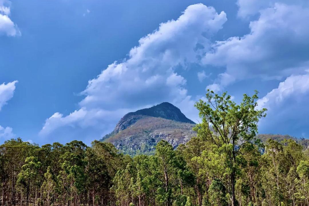 Photo of Others in Moogerah