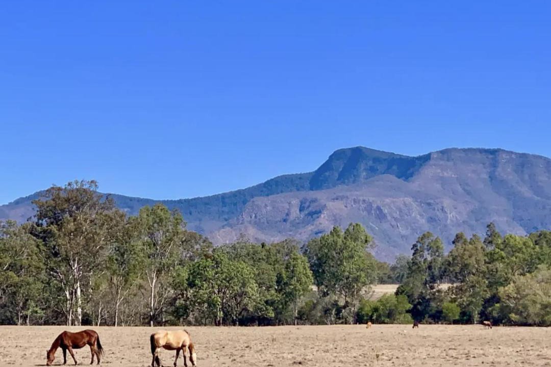 Photo of Outdoor in Moogerah