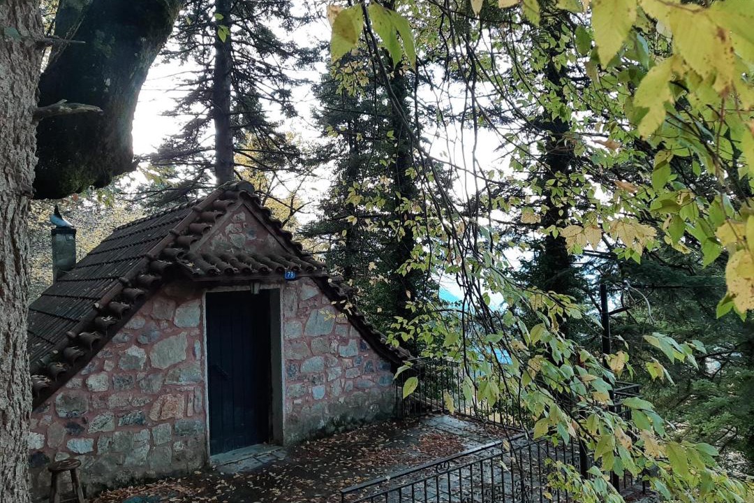 Photo of Buildings in Amfikleia-Elateia