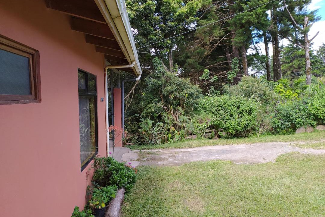 Photo of Others in Monteverde