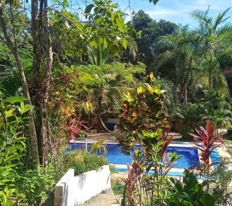 Photo of Others in Montezuma