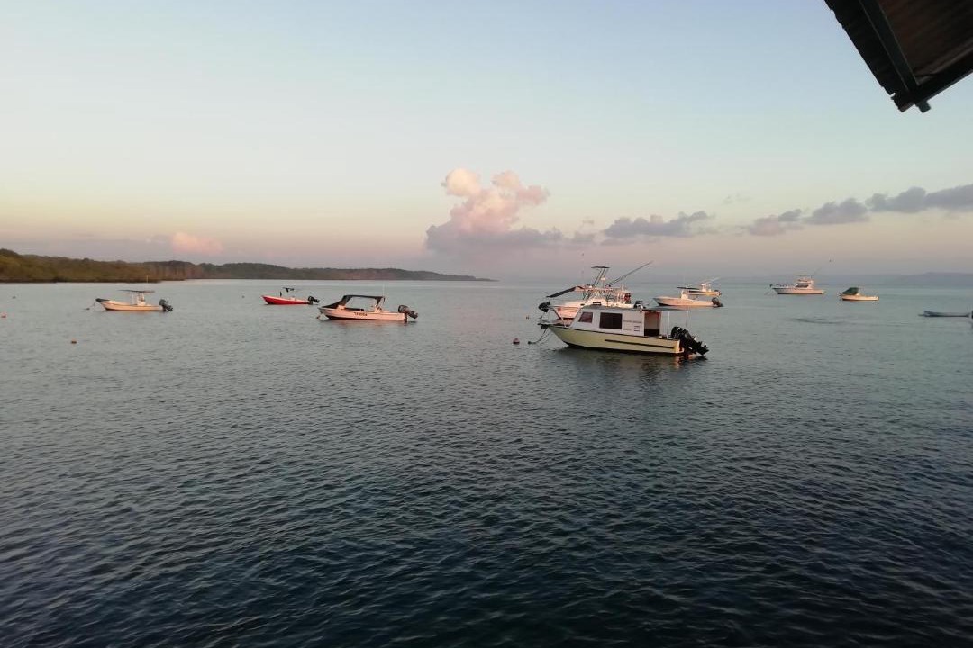 Photo of Outdoor in Puerto Jimenez