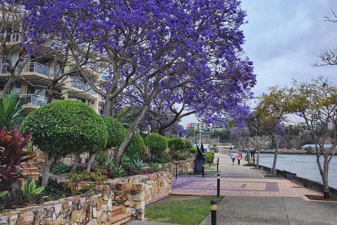 Photo of Others in Kangaroo Point