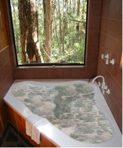 Photo of Bathroom in Springbrook