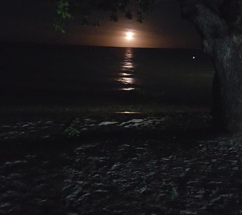 Photo of Others in Trinity Beach