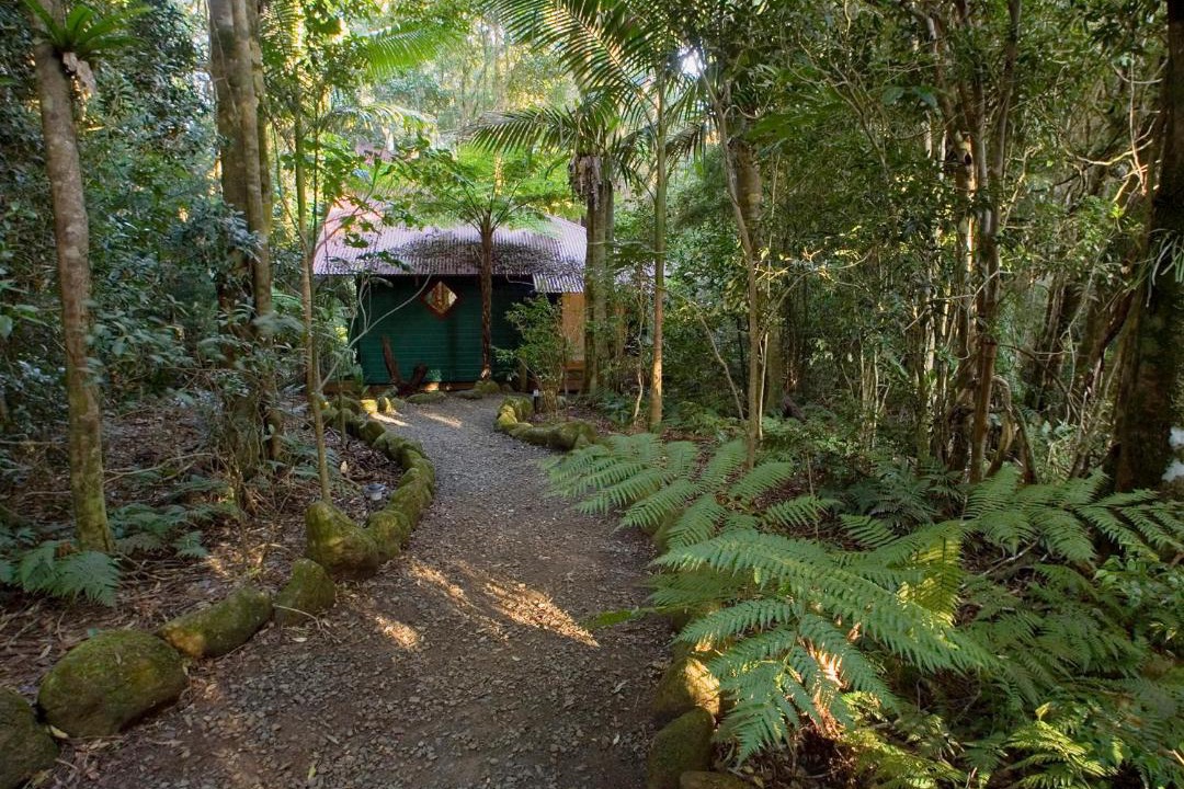 Photo of Others in Springbrook