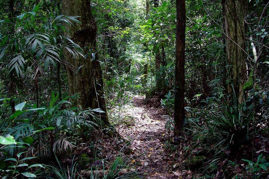 Photo of Others in Springbrook