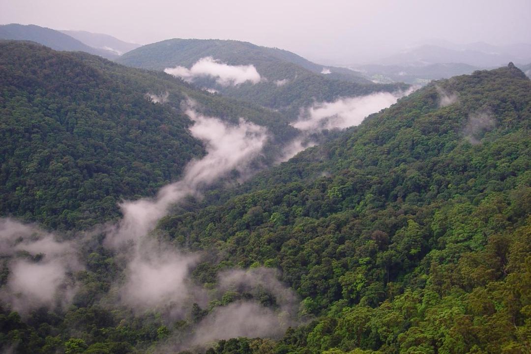 Photo of Others in Springbrook