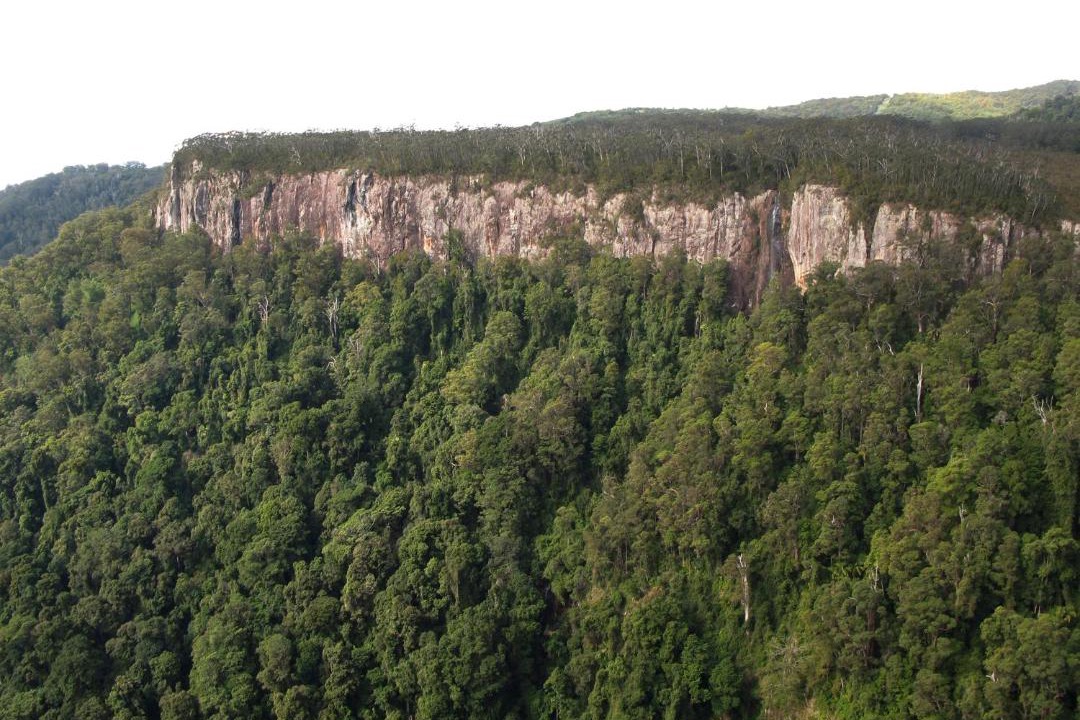 Photo of Others in Springbrook