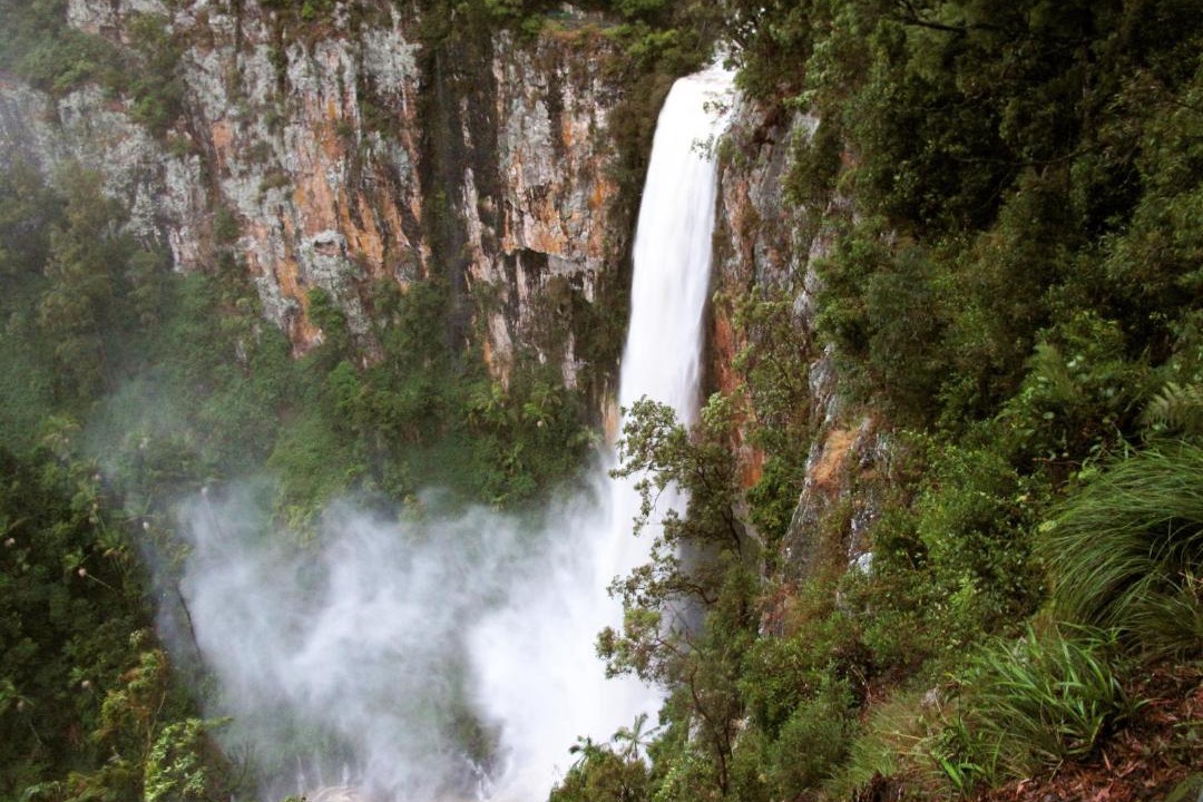 Photo of Others in Springbrook