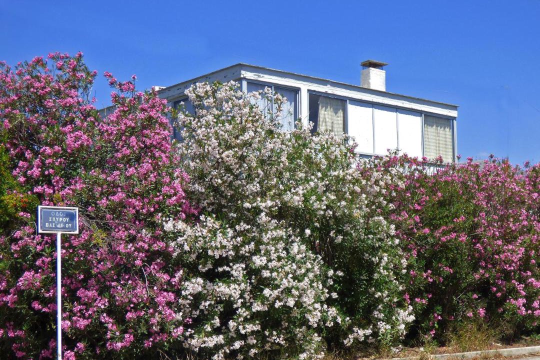 Photo of Buildings in Eretria