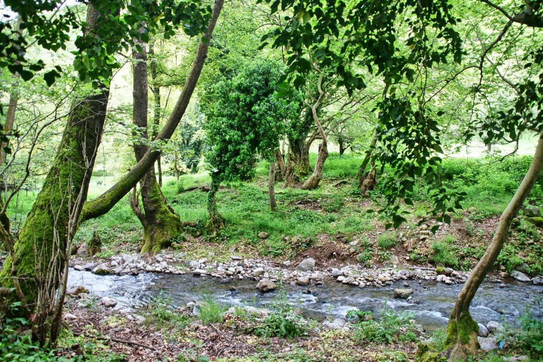 Photo of Others in Kertezi