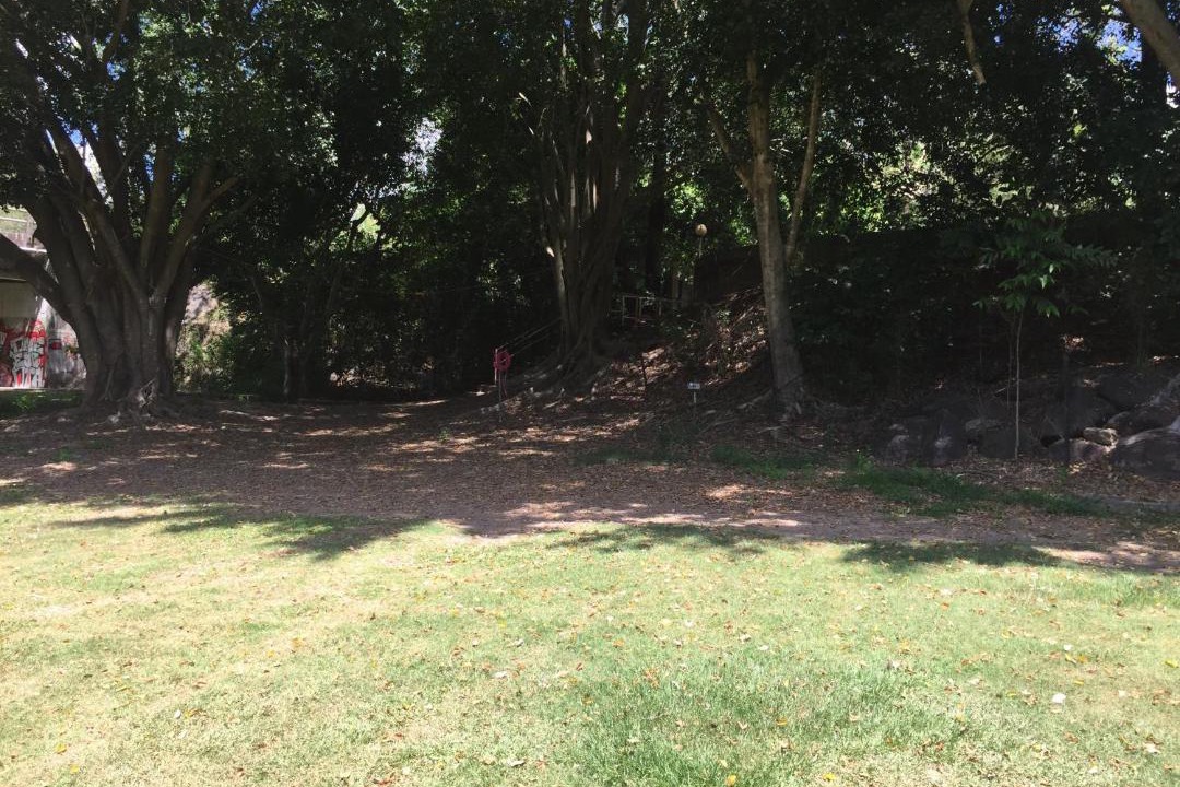 Photo of Others in Yandina