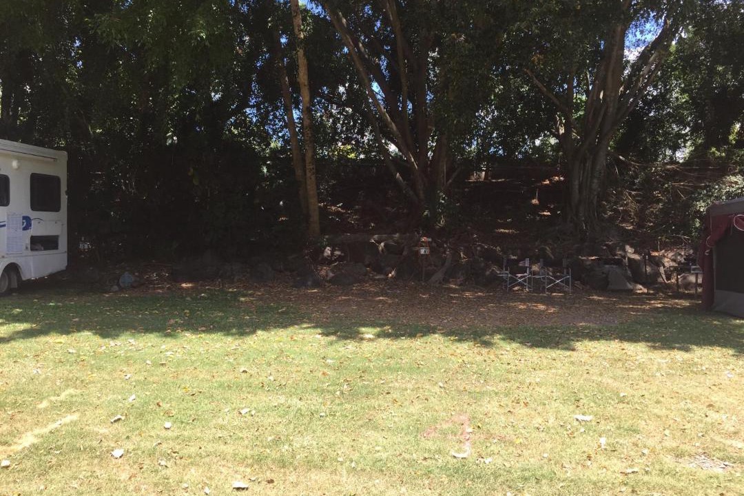 Photo of Others in Yandina