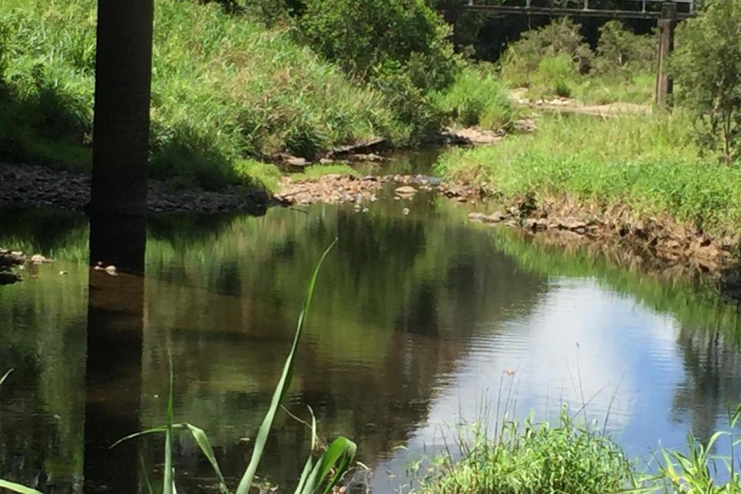 Photo of Others in Yandina