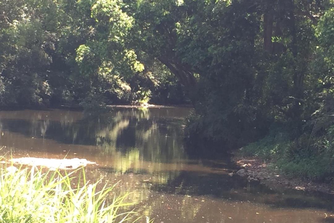 Photo of Others in Yandina