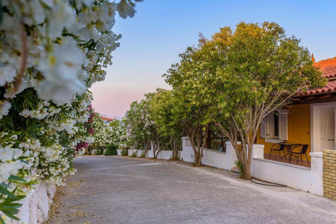 Photo of Others in Samos Town