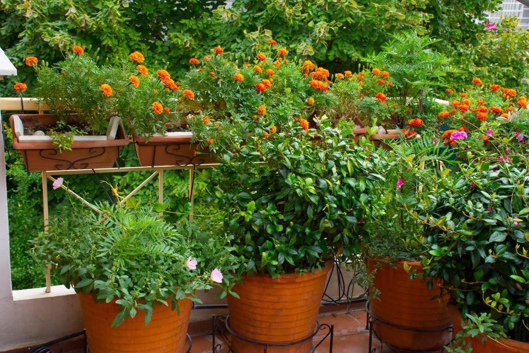 Photo of Patio Balcony in Kamena Vourla