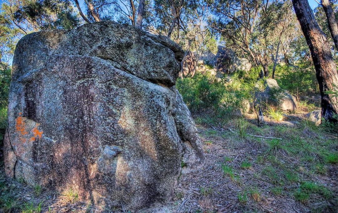 Photo of Others in Stanthorpe