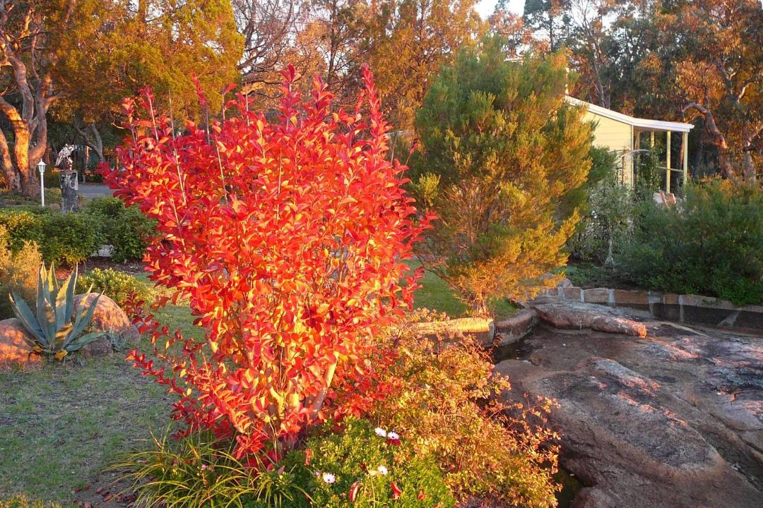 Photo of Others in Stanthorpe