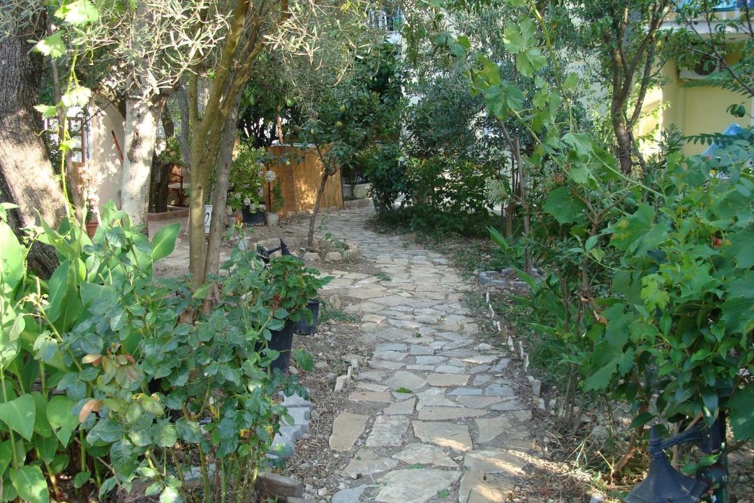 Photo of Others in Nikiana