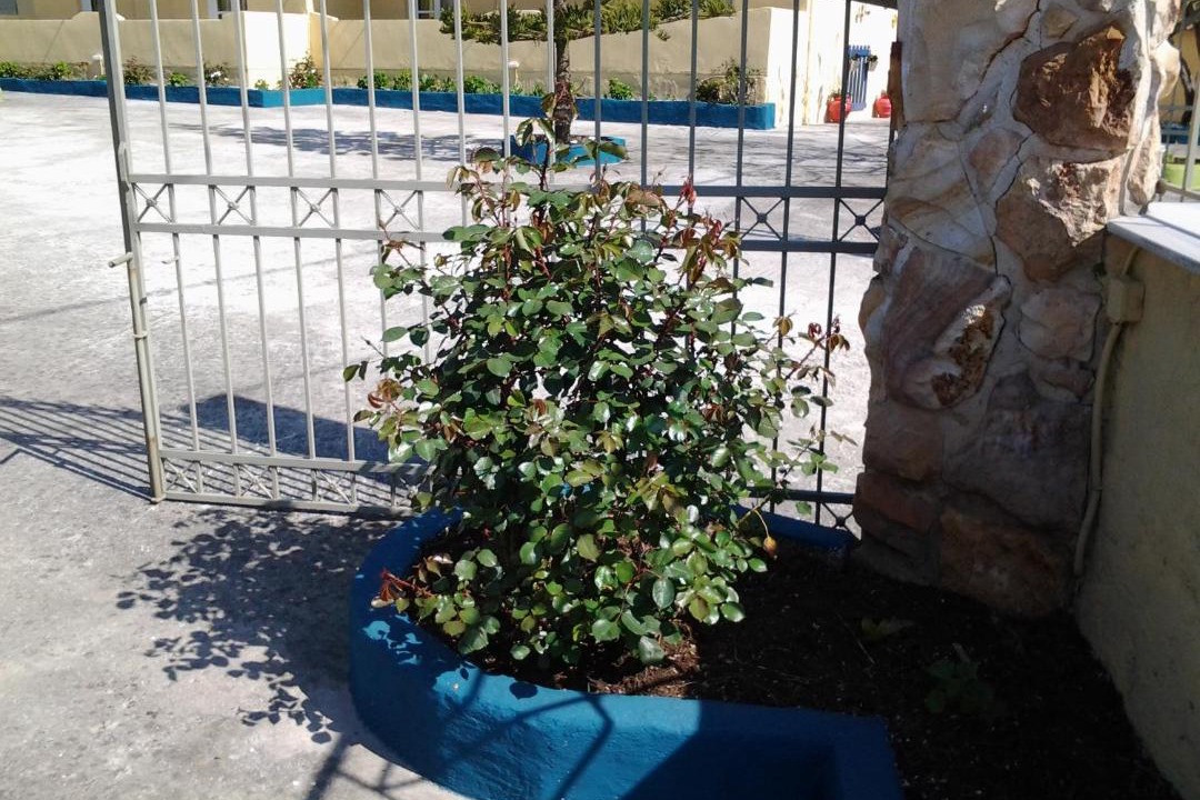 Photo of Others in Agia Paraskevi