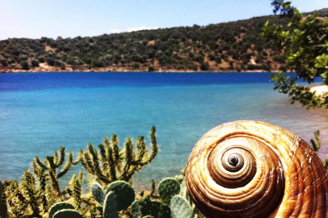 Photo of Outdoor in Mpoufalo