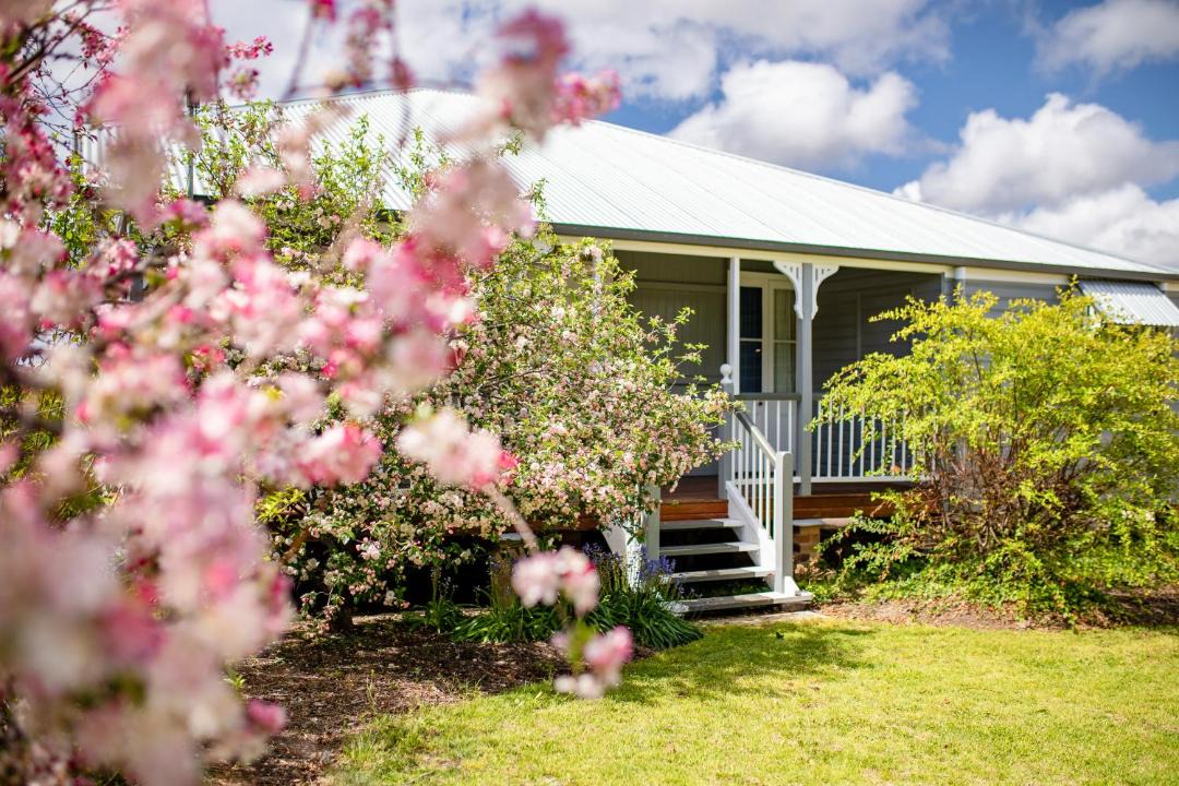 Photo of Others in Stanthorpe
