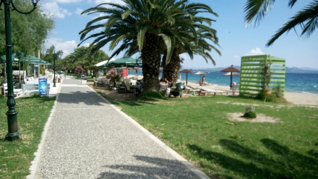 Photo of Others in Nea Makri