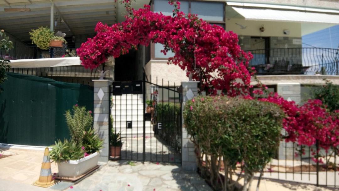 Photo of Buildings in Nea Makri
