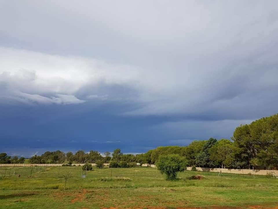 Photo of Others in Bloemfontein