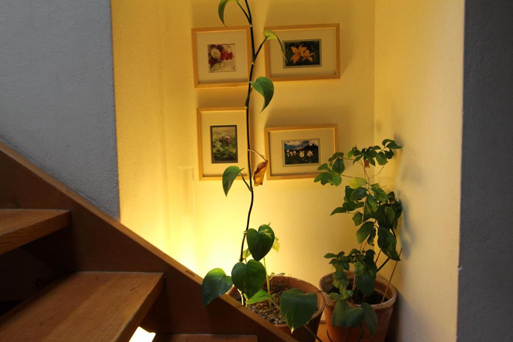 Photo of Others in Arachova