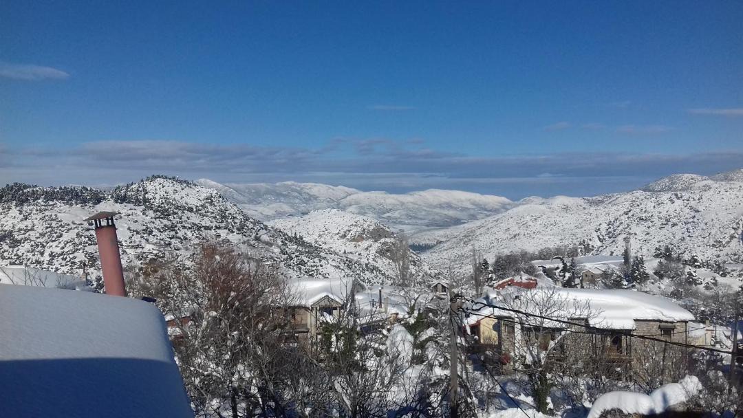 Photo of Others in Eptalofos