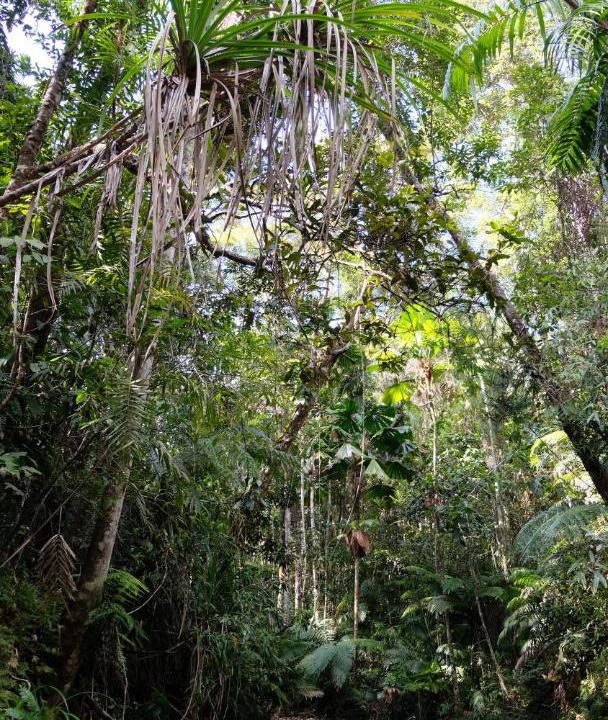 Photo of Others in Forest Creek