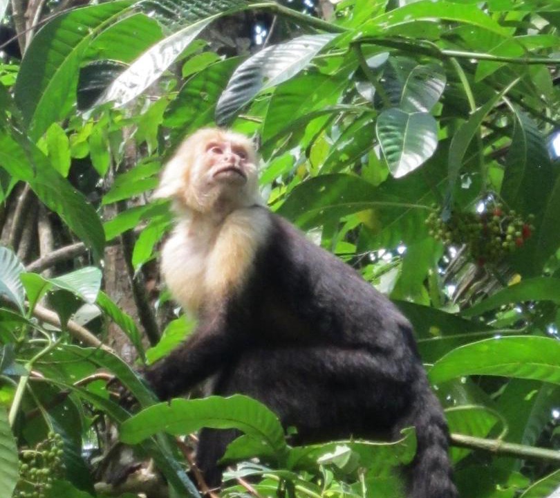 Photo of Others in Rivas